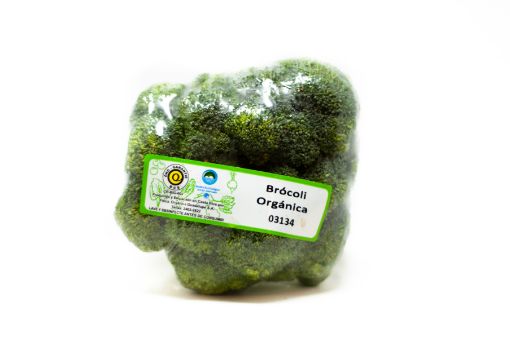 Imagen de BROCOLI ORGÁNICO CB KG 