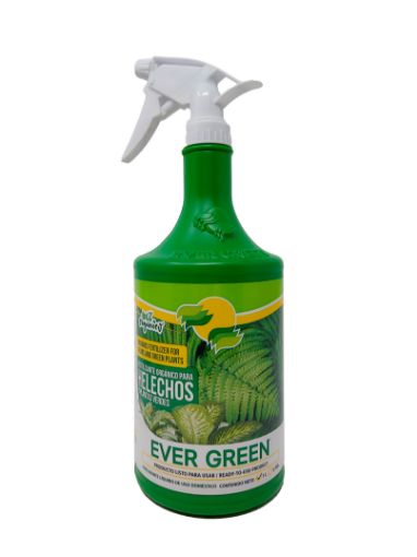 Imagen de FERTILIZANTE EVERGREEN PARA HELECHOS Y PLANTAS VERDES LIQUIDO 1000 ml 