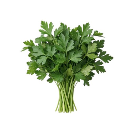 Imagen de PEREJIL ITALIANO GUADALUPE NATURAL ORGÁNICO ROLLO 1.00 UND